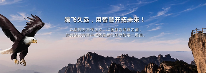 通宝TB222-企业文化的精髓融入我的世界