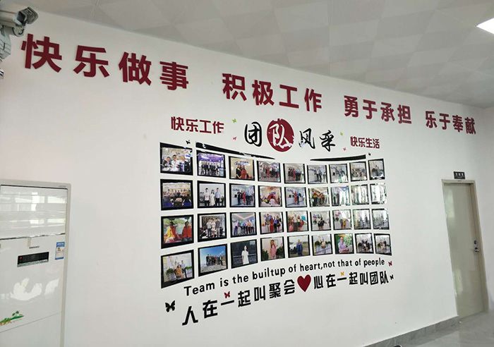 通宝TB222文化墙