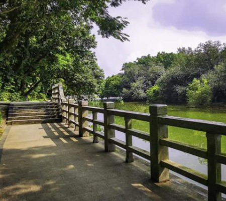 公园无线传输综合解决方案